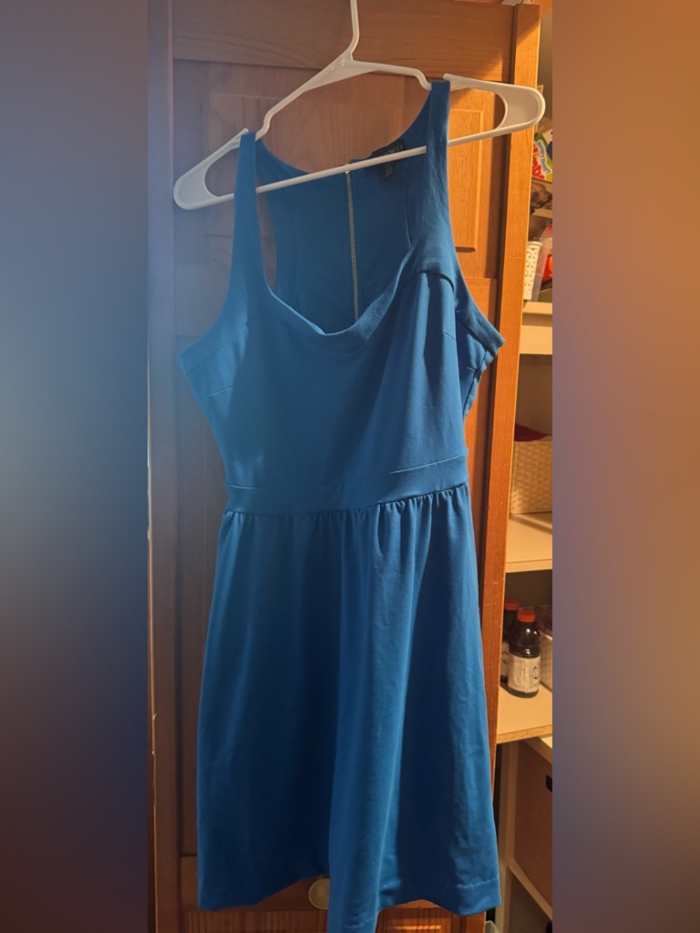 Cynthia Rowley Blue Sleeveless Fit-and-Flare Dress